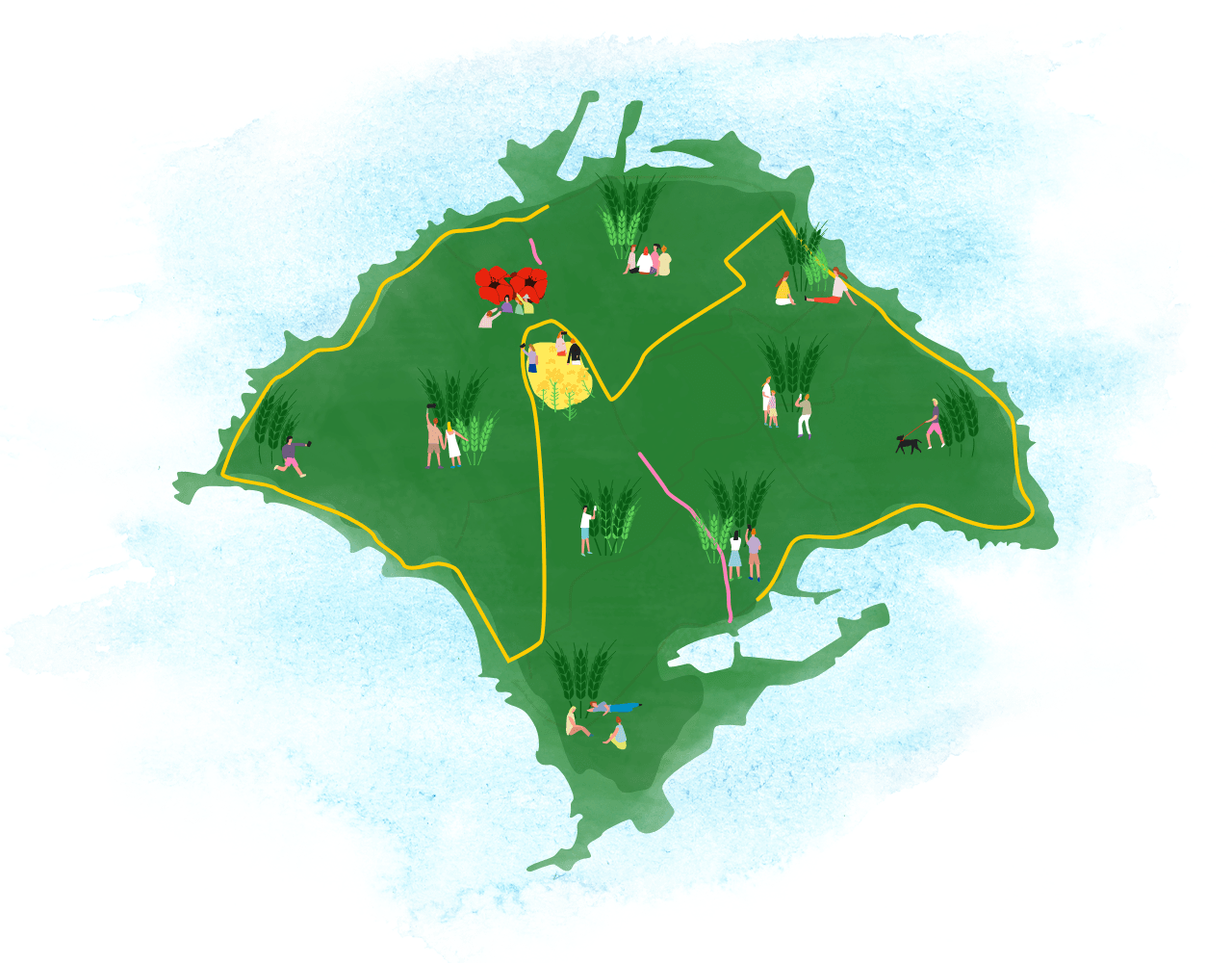 가파도 청보리 축제