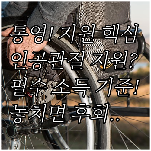 2025년 통영시 인공관절 지원 소득..