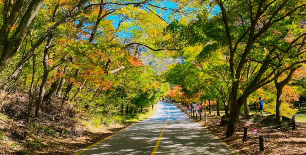 정읍의 내장산국립공원