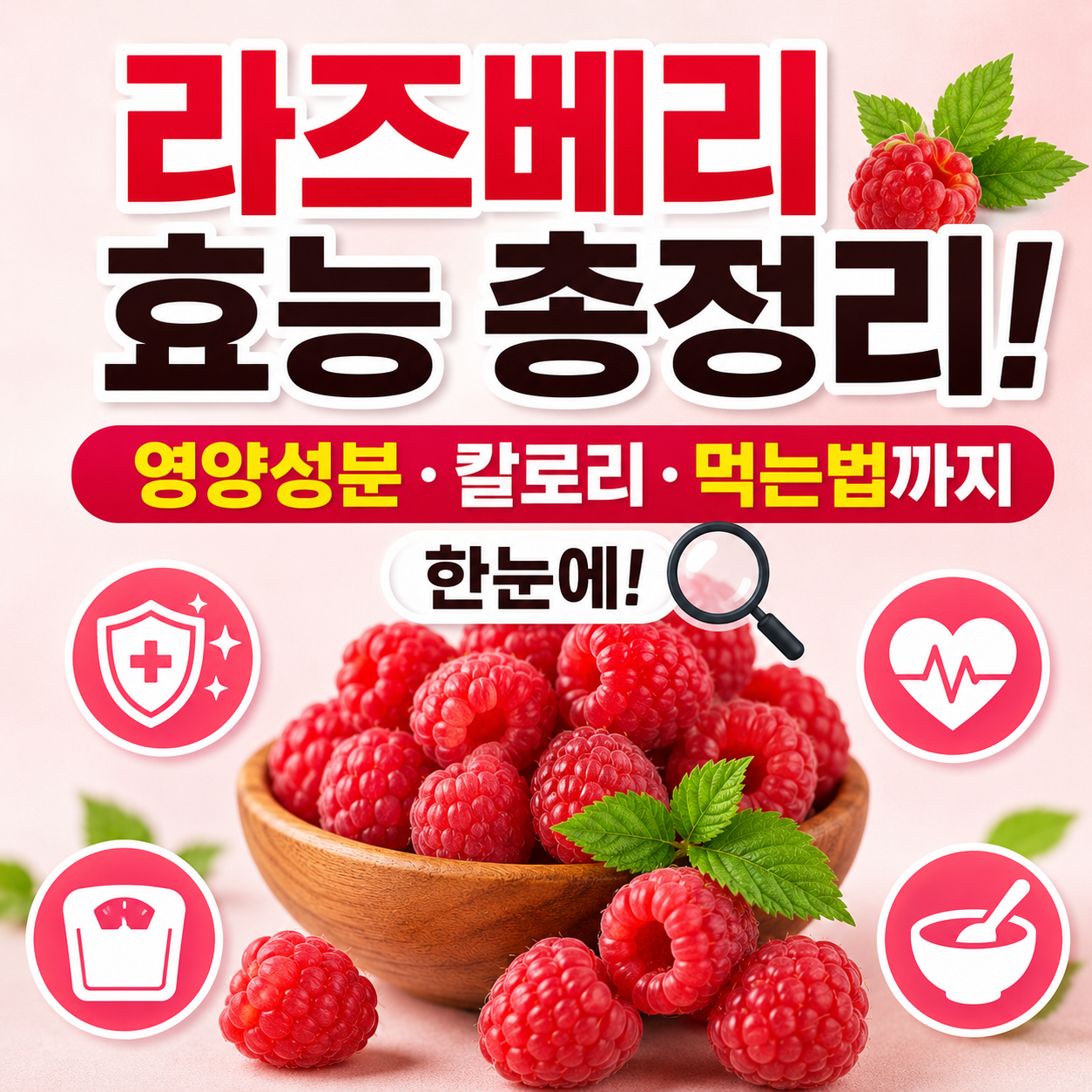 라즈베리 효능