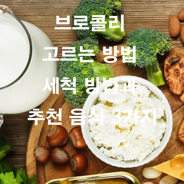 브로콜리 고르는 방법 세척 방법과 추천 음식 3가지