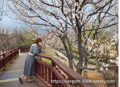 대연 수목전시원 3.12 사진