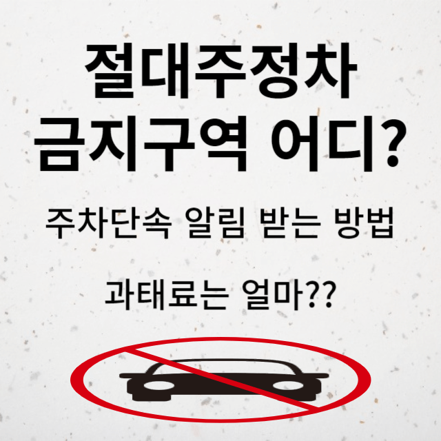 절대주정차 금지구역