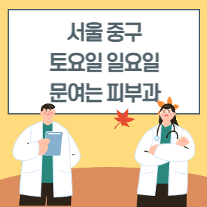 서울 중구 토요일 일요일 피부과 진료 병원 리스트