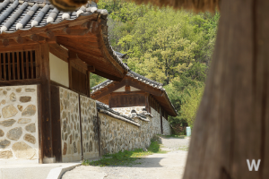 조선시대 왕 순서 6