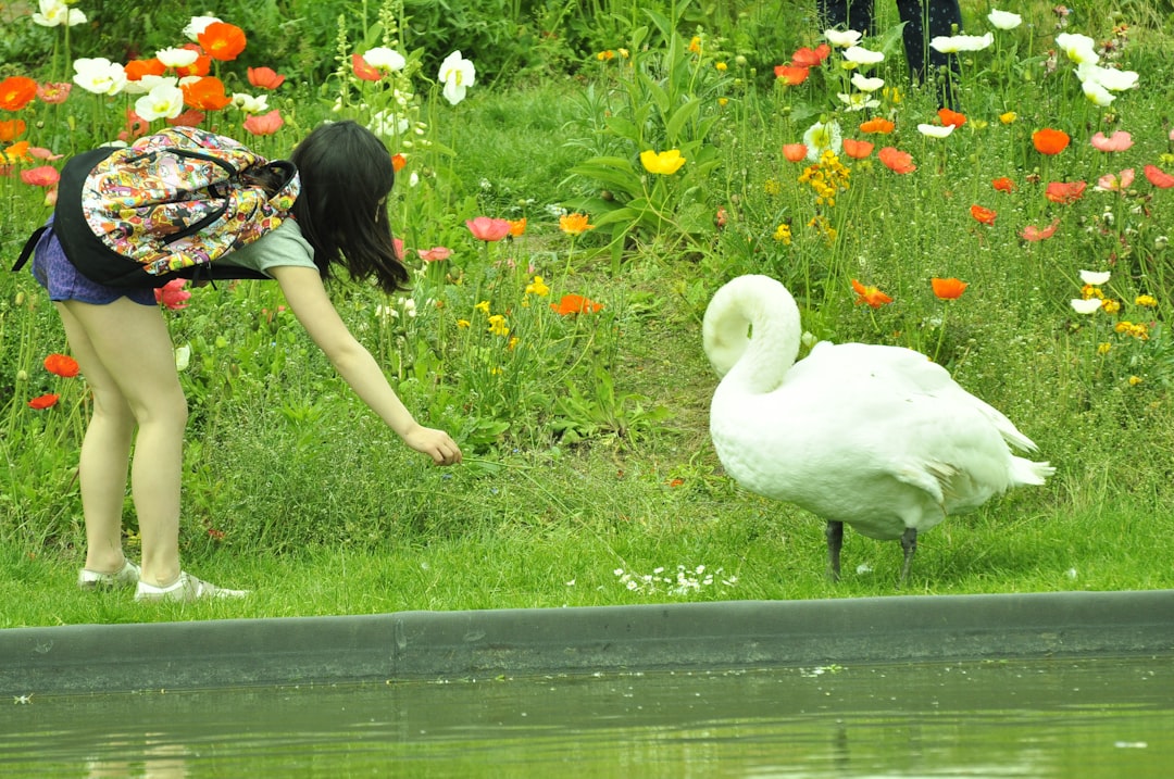 Han Duck-soo