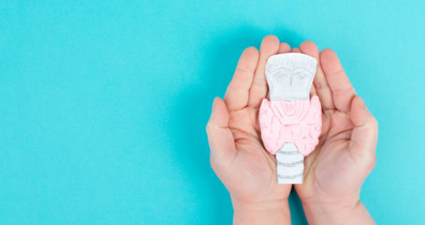 갑상선 기능 저하증 증상, 좋은음식, 수치 총정리 (2024ver)