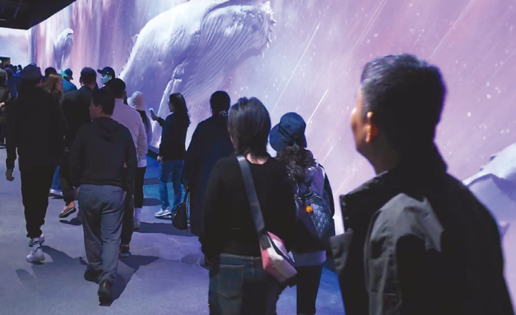 여수 예술랜드 리조트