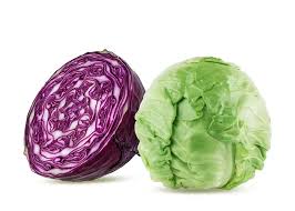 양배추 소화기