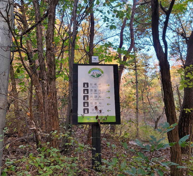 대흥사 가는 길