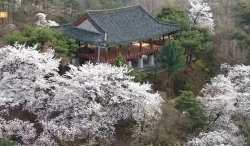 영호루