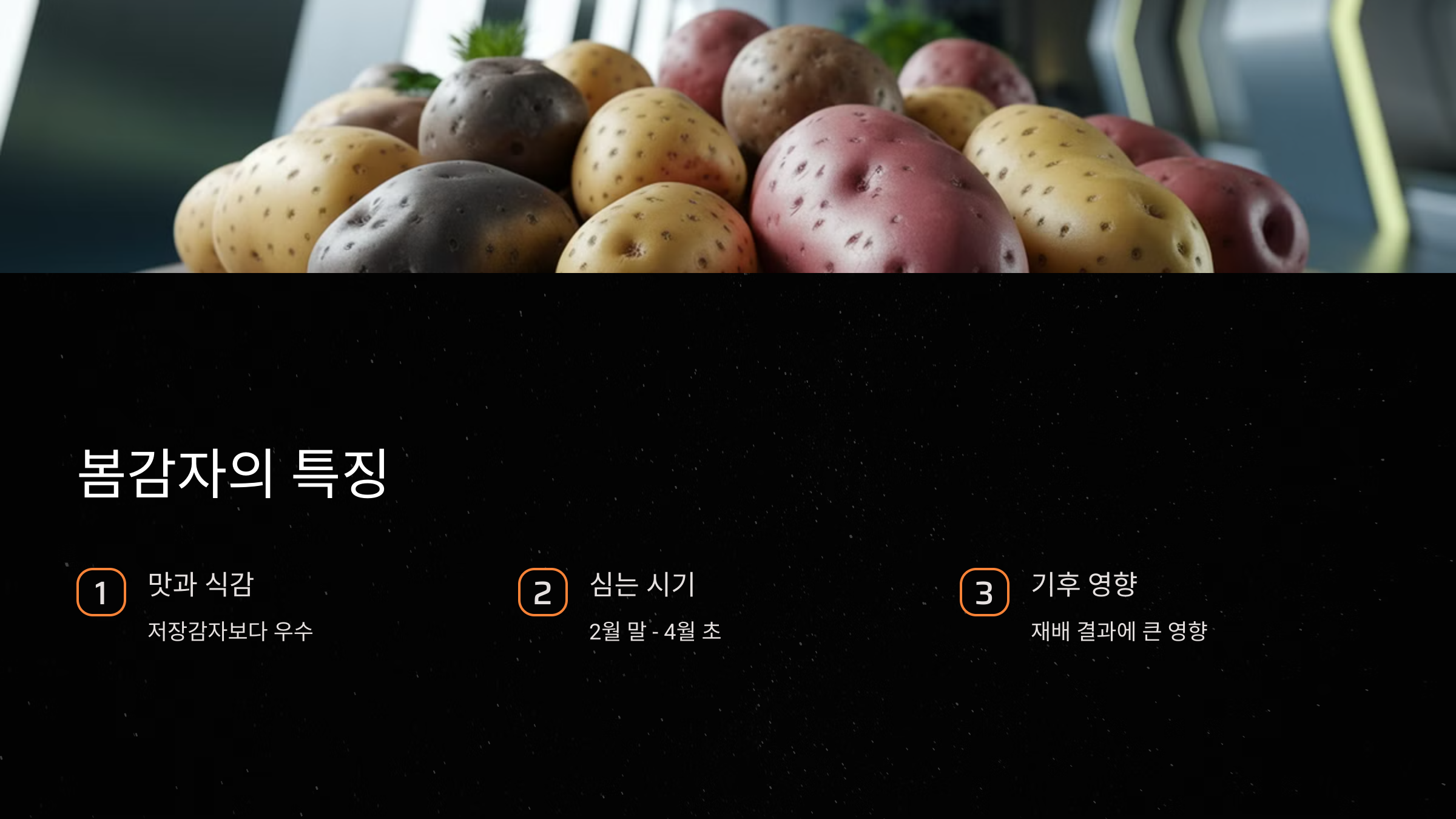 봄감자의 특징