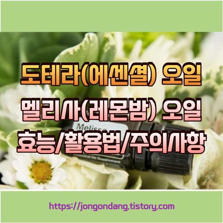 도테라 멜리사(레몬밤) 오일 효능과 활용법, 주의사항 이미지
