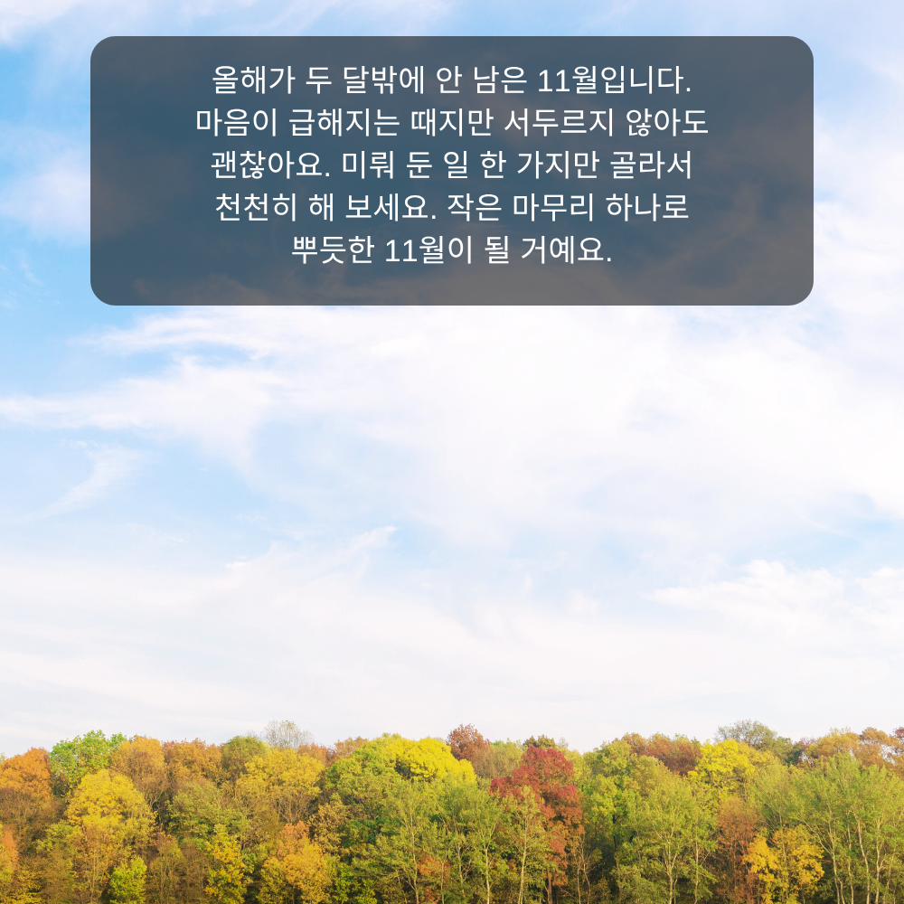 11월 인사말 7 두 달 남은 11월 마무리 인사말 이미지