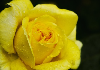 인기 가수 총출동 2