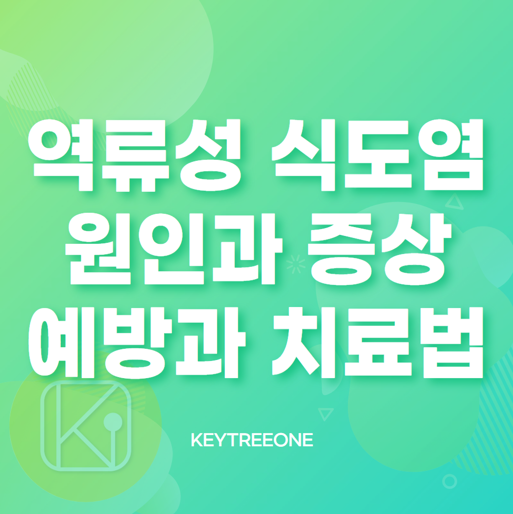 역류성 식도염 원인과 증상