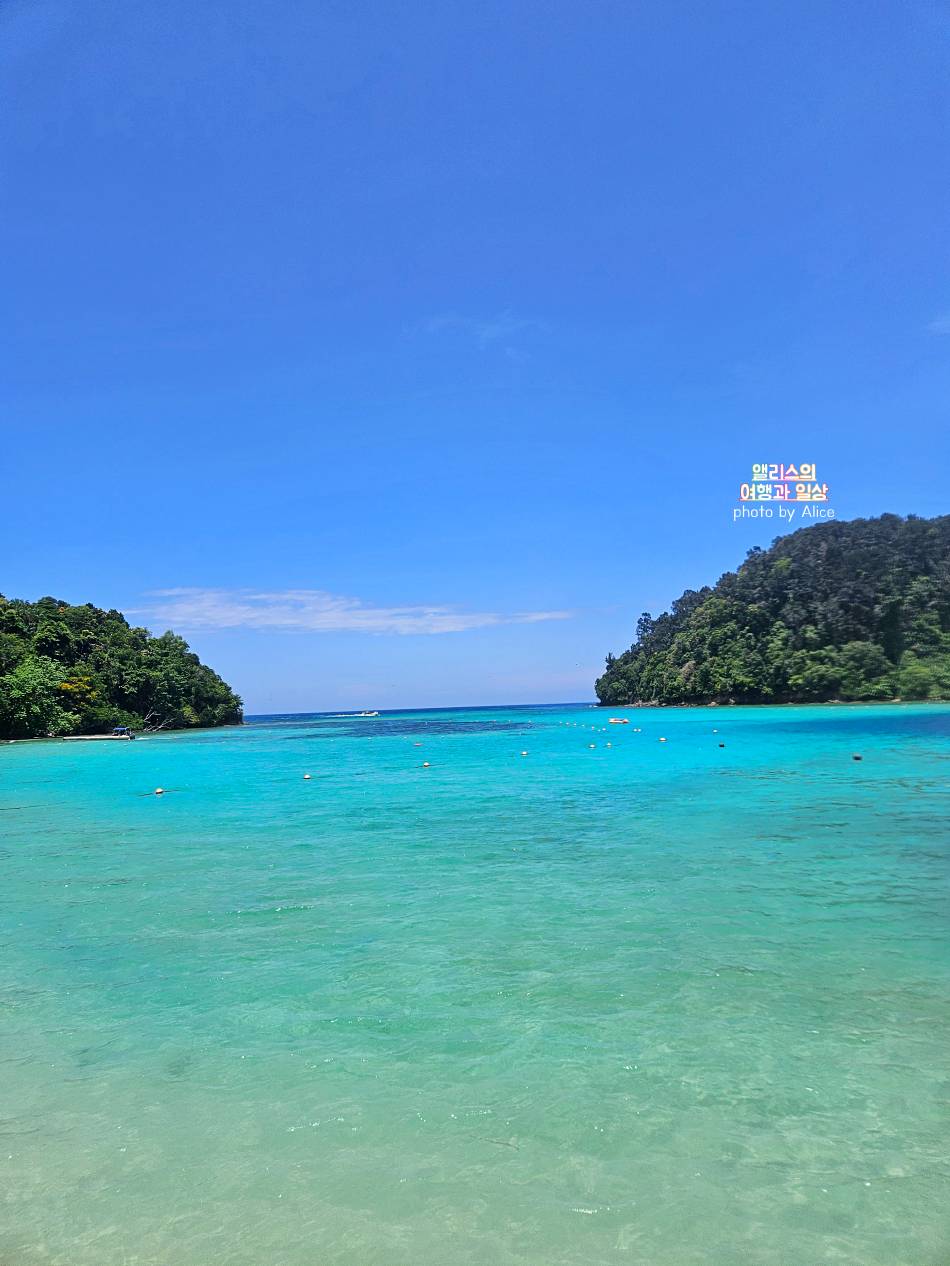 코타키나발루 씨워킹 사피섬 & 마누칸섬 투어 추천 예약 후기