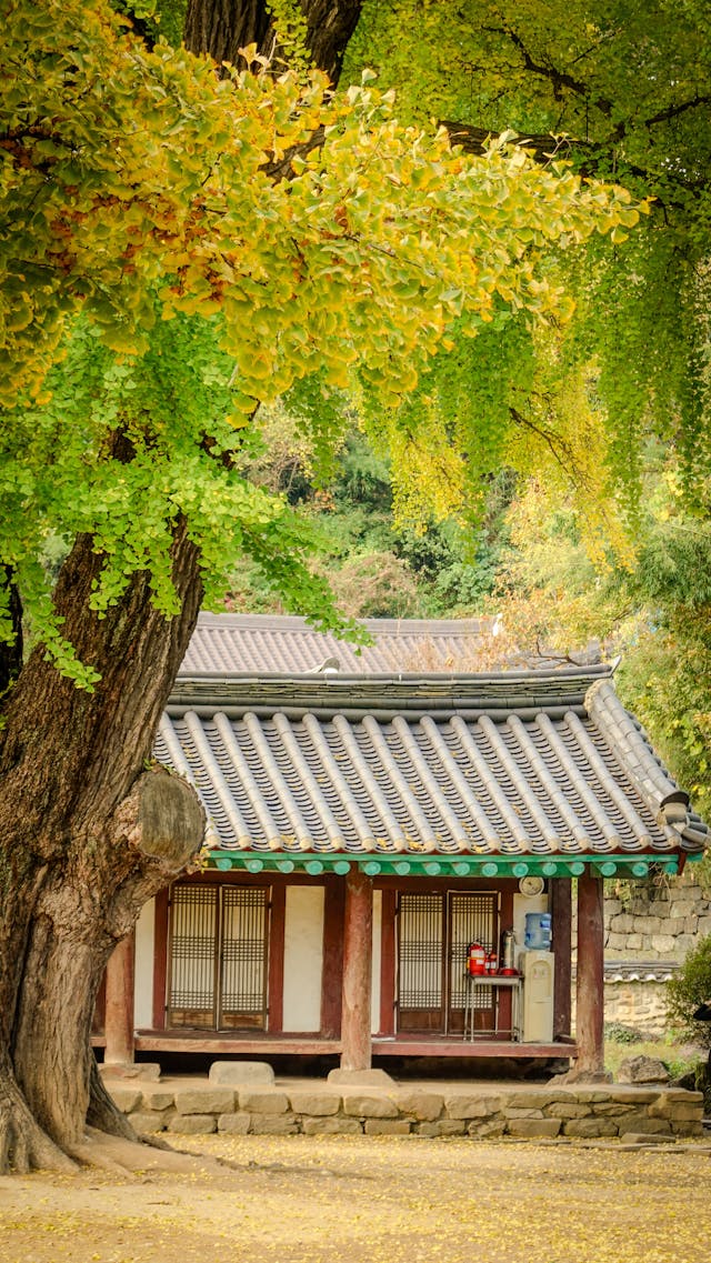 역사학 역사소설 속 역사 해석