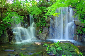 국내여행 서울 근교 계곡 추천