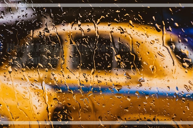 Illegal Taxi Activities Targeting Foreigners: Current Status & Response Methods