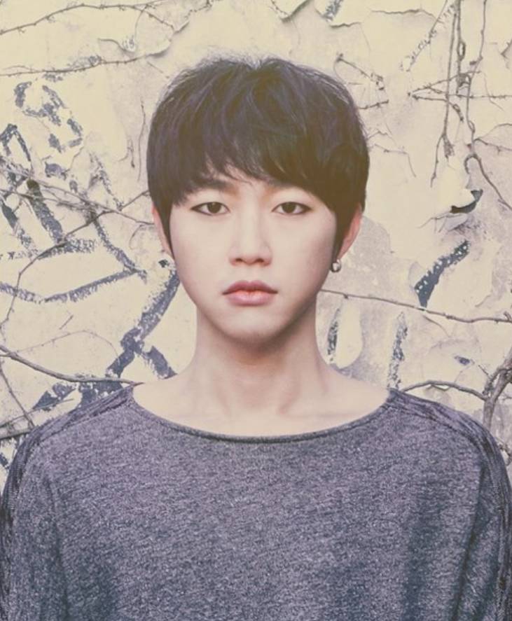 채보훈 프로필 (THE VANE · 퍼플레인 보컬)