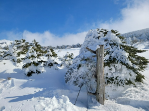 한라산 윗세오름