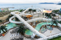 클럽디오아시스