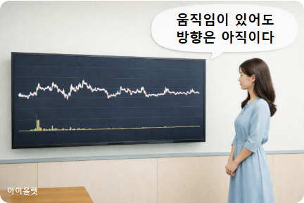 변동은 있으나 방향은 없는 시장