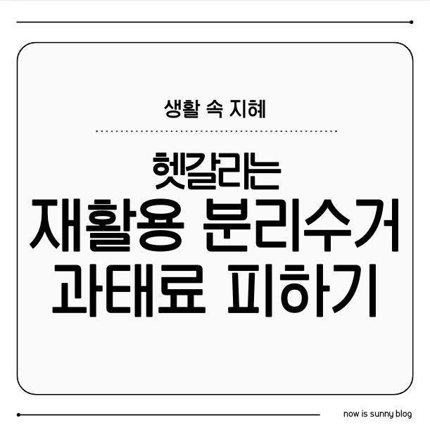 2025년 최신 분리수거 가이드