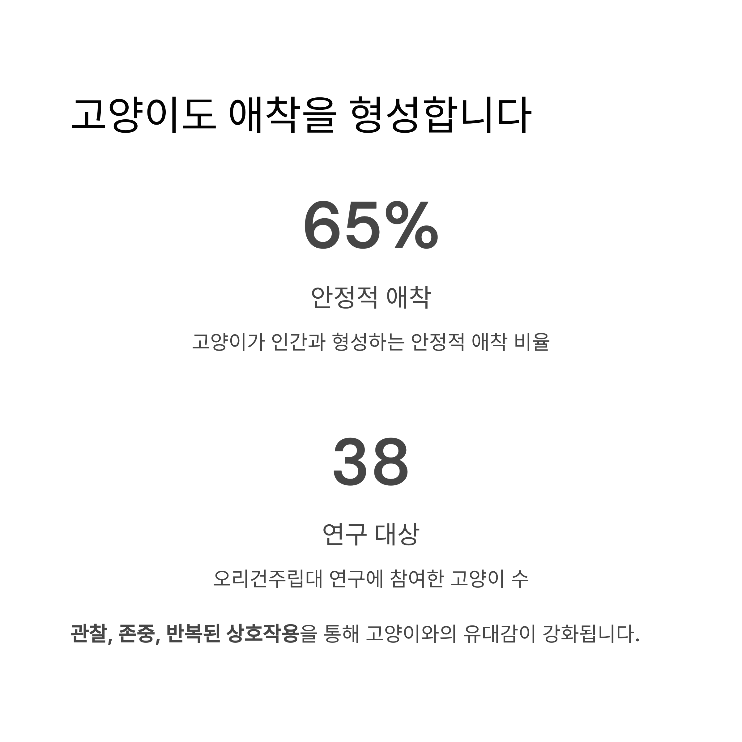 고양이도 애착을 형성합니다