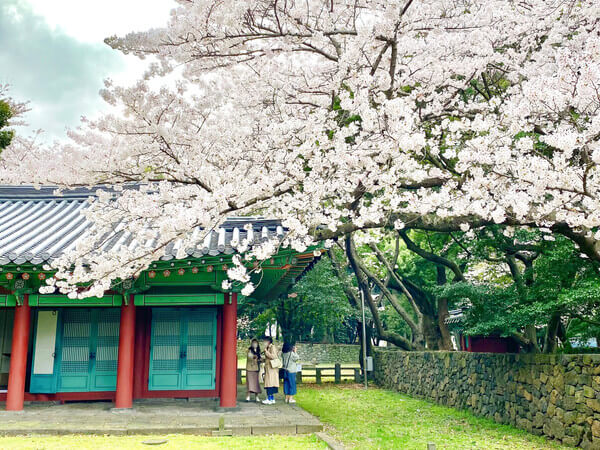 제주 한옥펜션 제주한옥호텔 제주 한옥카페 제주여가한옥 제주 한옥 숙소 제주 한옥 제주 한옥집 제주 한옥호텔 한라궁 제주 한옥마을 제주 한옥호텔 제주 한옥 매매 제주 한옥 식당 제주 한옥집 김치찜 제주 한옥 빵집 제주 한옥 한달살기 제주 한옥 카페 제주 애월여가한옥