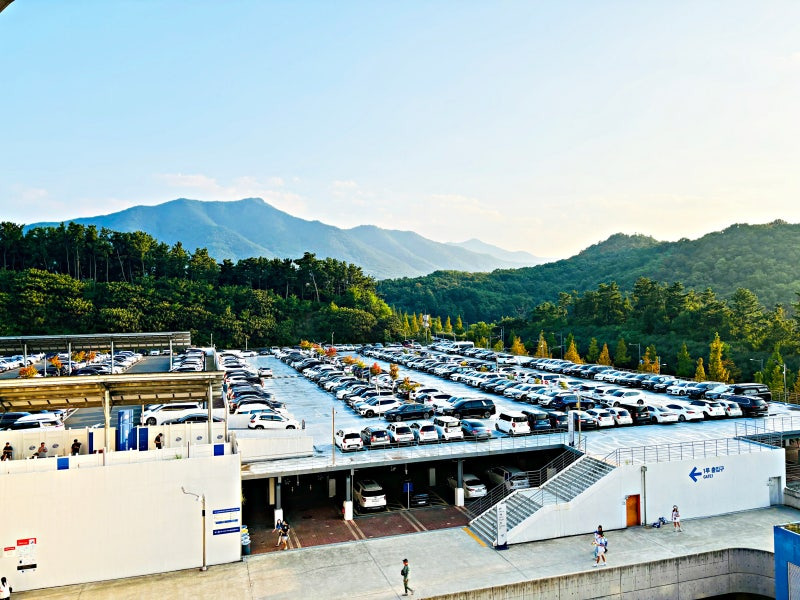 삼성 라이온즈파크 주차 꿀팁 &amp;#124; 위치&middot;요금&middot;교통 안내