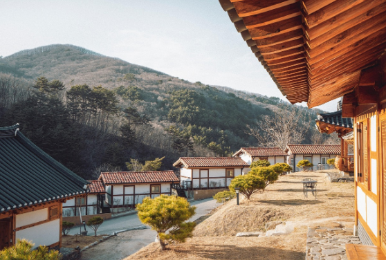 경주 APEC 개최, APEC 의미 목적