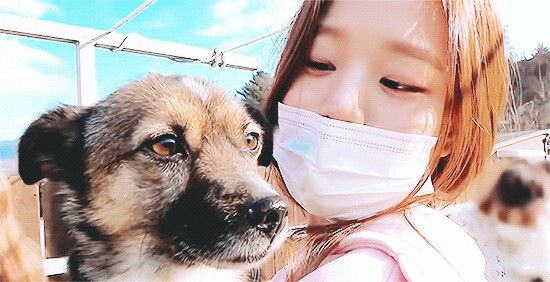 장원영 고화질 사진 모음 장원영 고화질 사진 모음