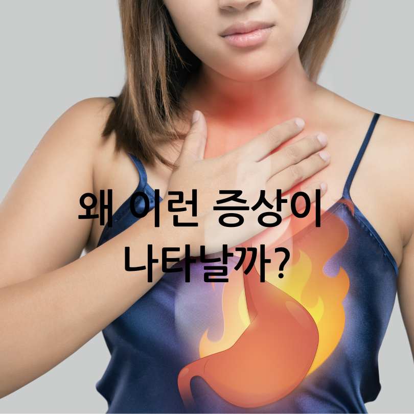 역류성 식도염 증상 총정리