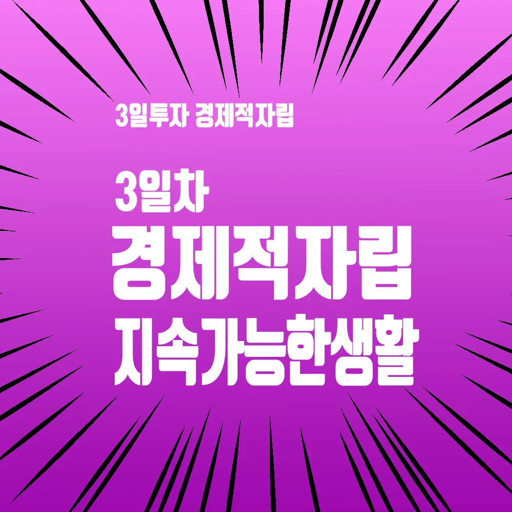 3일차