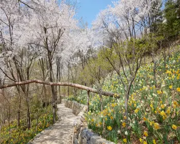 화담숲 예약 방법_8