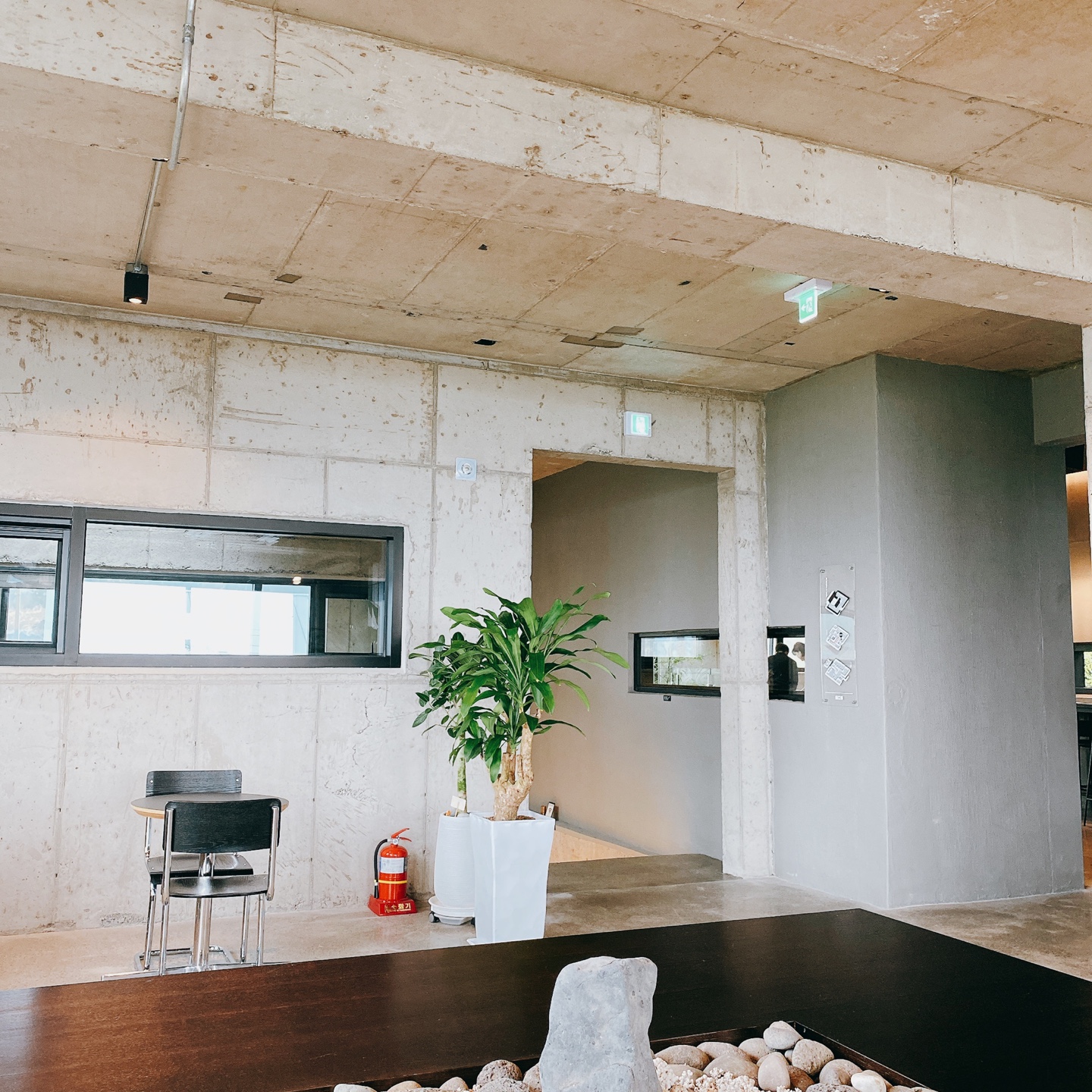 제주 신비마을 도깨비도로 벚꽃명소 레크레 카페