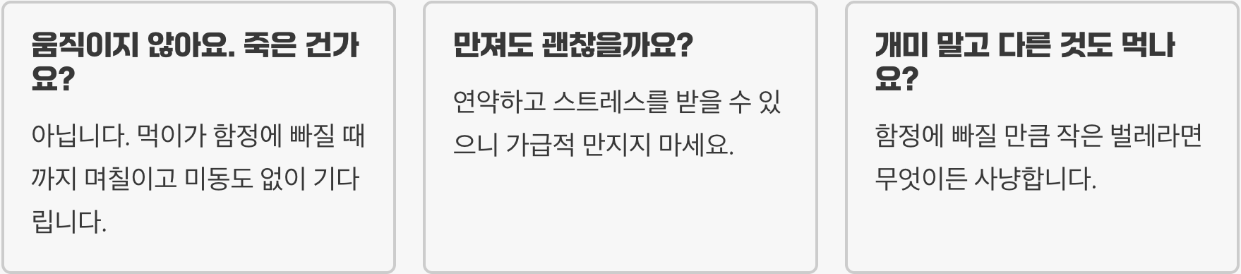 개미귀신 키우기 A to Z (사육장, 먹이, 모래)