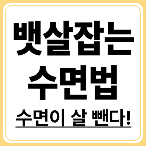 수면 질 높이면 살도 빠진다? 수면 다이어트의 핵심 전략
