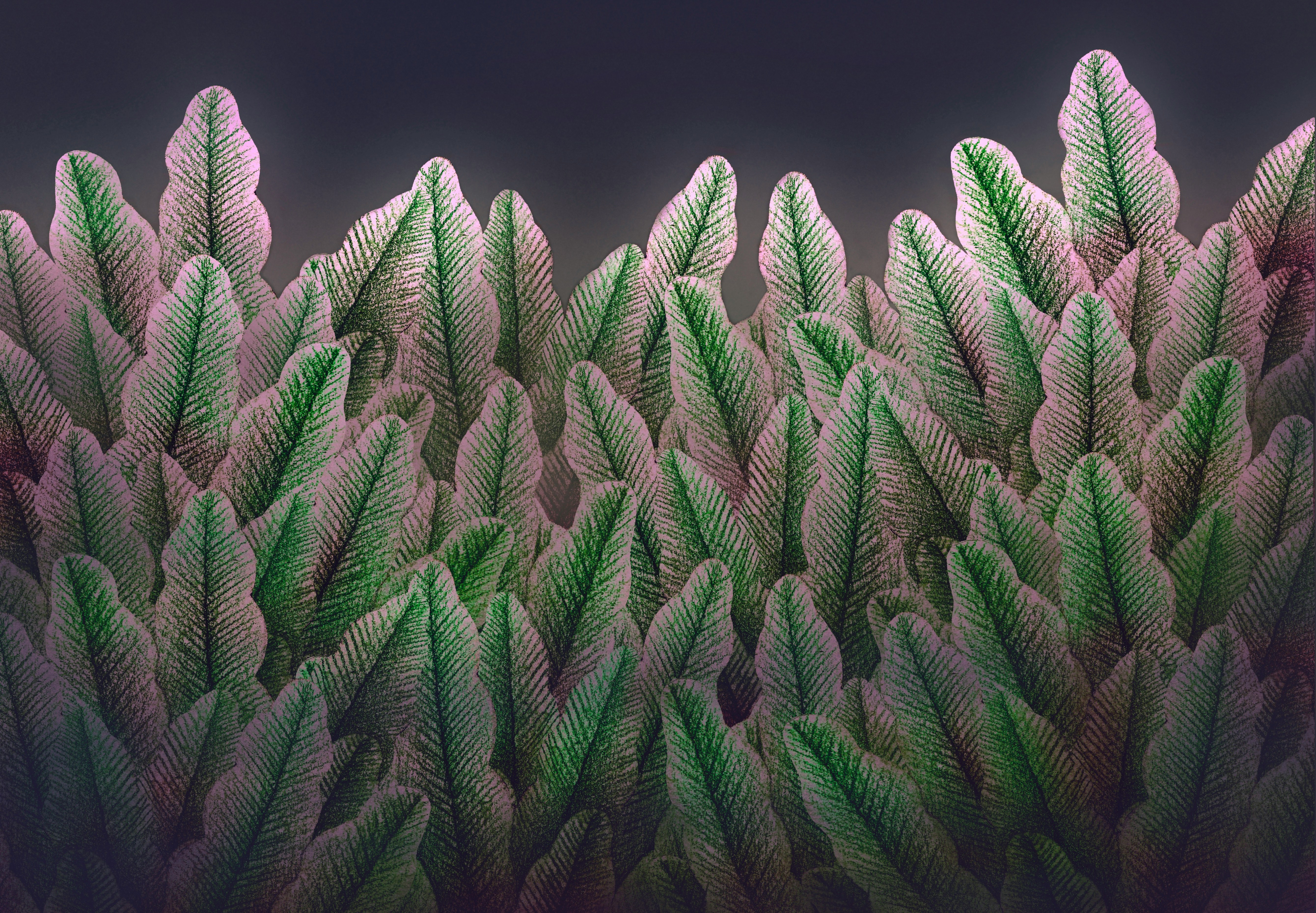 오행과 인간의 삶