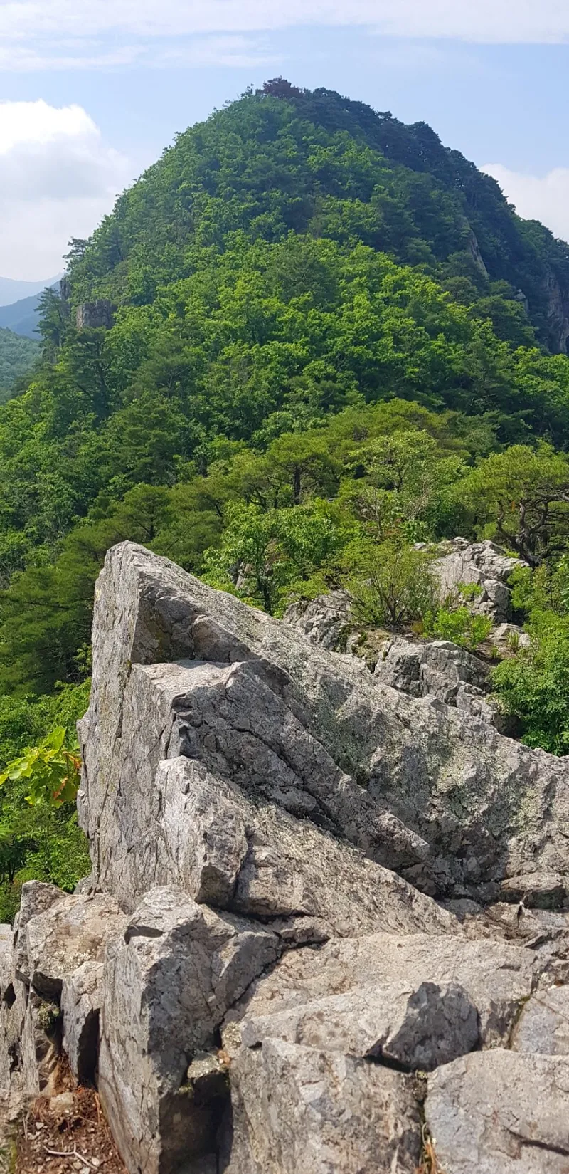 청도 복호산