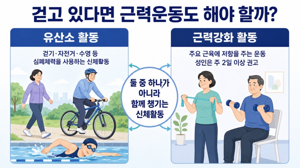 40대 이후 건강관리를 위해 걷기 같은 유산소 활동과 주요 근육을 사용하는 근력운동을 함께 하는 이유