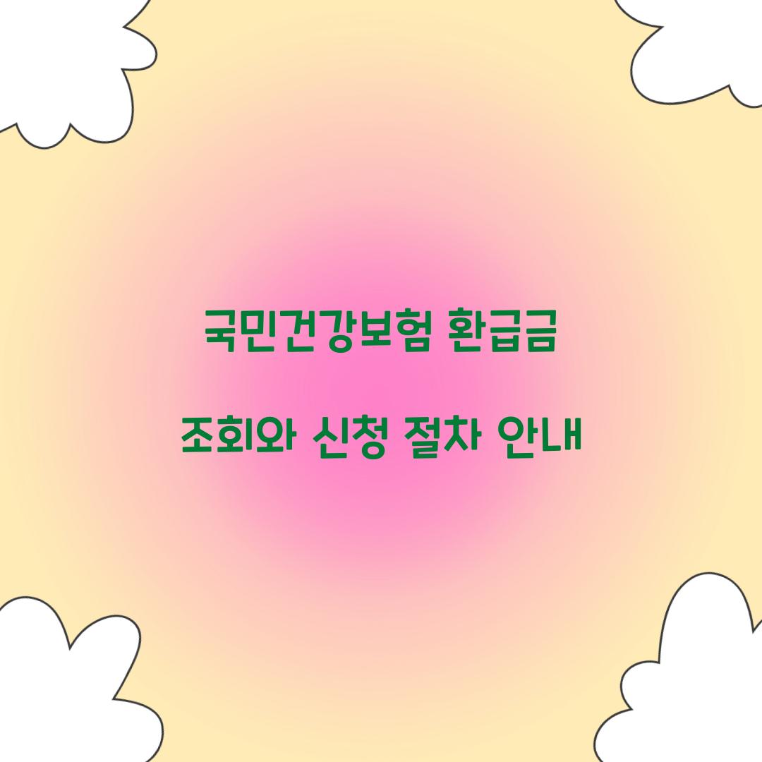 국민건강보험 환급금 조회