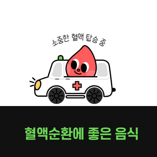 혈액순환