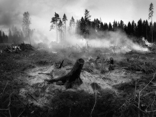 LA산불 원인 위치 지도 손실 05