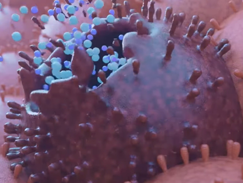 클라미디아 감염 경로