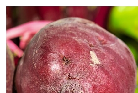 비트먹는법