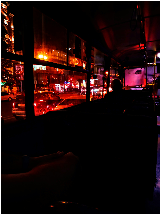 2025 벚꽃 개화시기, 여행지 총정리