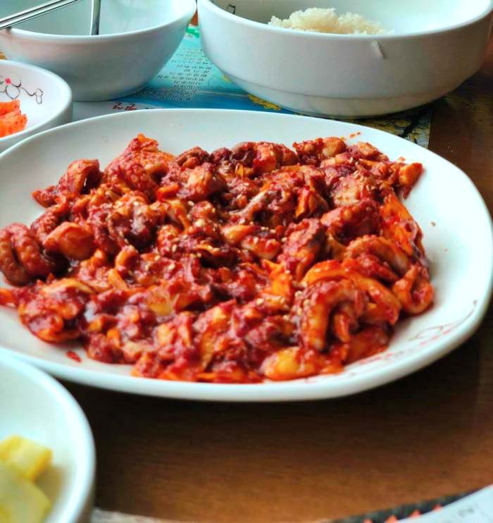 생방송오늘저녁 주꾸미볶음 들깨 칼국수 쭈꾸미 들깨칼국수 원두커피 3종세트 만3천원 안성 금광호수 맛집 추천